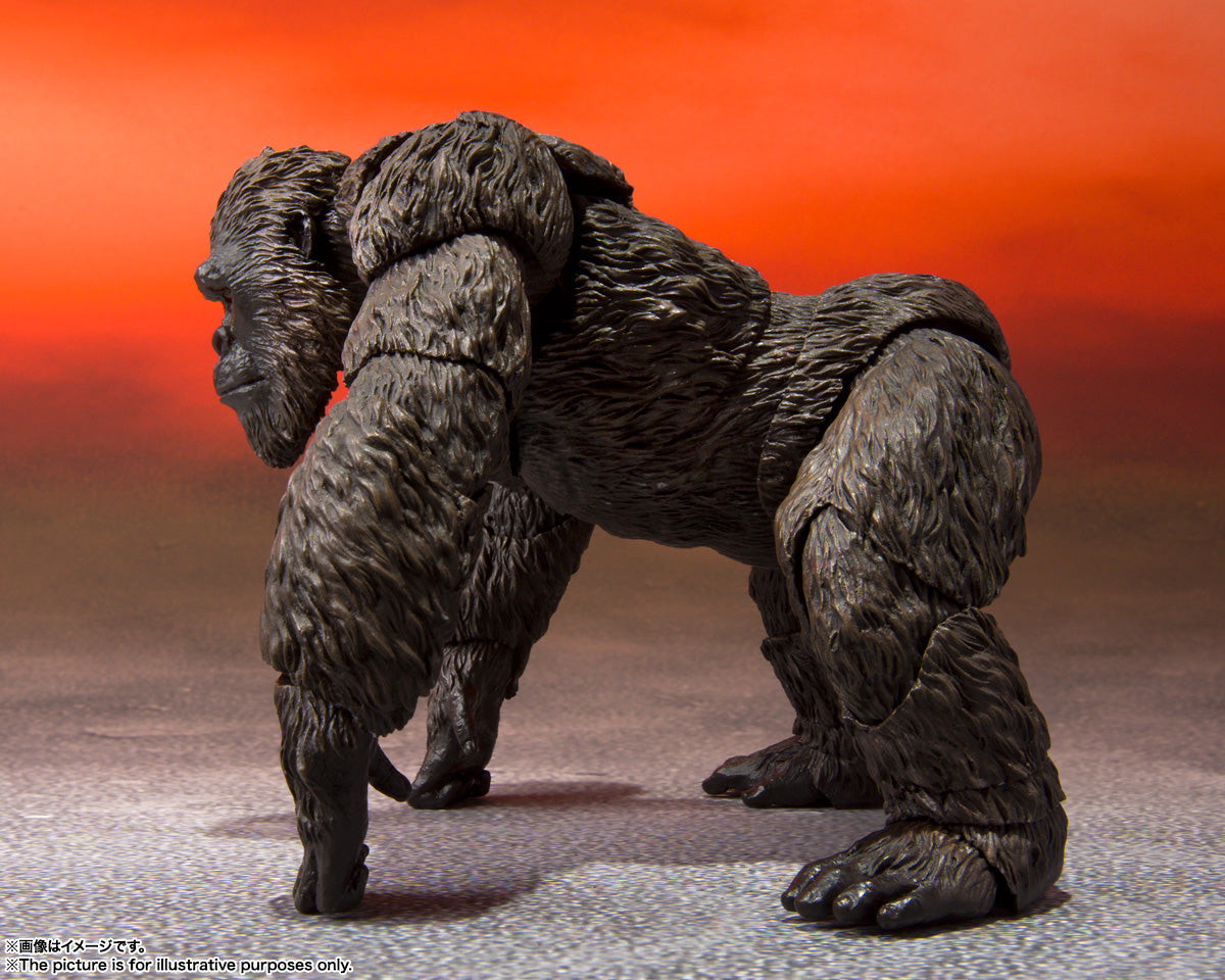 S.H.MonsterArts Kong from Godzilla vs. Kong (2021)