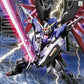 BH MG 1/100 DESTINY GUNDAM