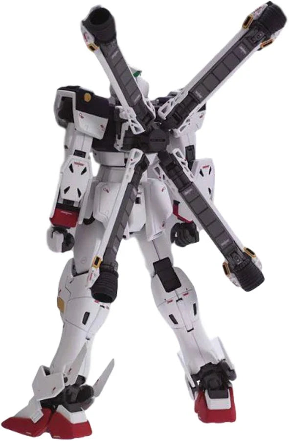 Bandai MG 1/100 Crossbone Gundam X-1 Ver.Ka