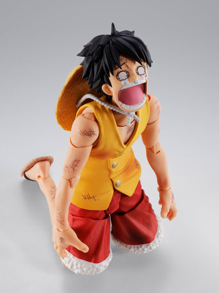 MONKEY.D.LUFFY -MARINEFORD-