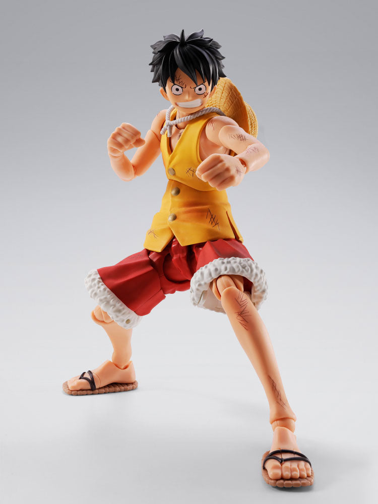 MONKEY.D.LUFFY -MARINEFORD-