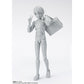 S.H. Figuarts Body Kun -School Life- DX Set (Gray Color Ver.)